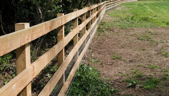 Stock Fencing for Farm
